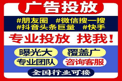 SEM广告投放中的数据监控与调整策略——以某品牌营销案例为例